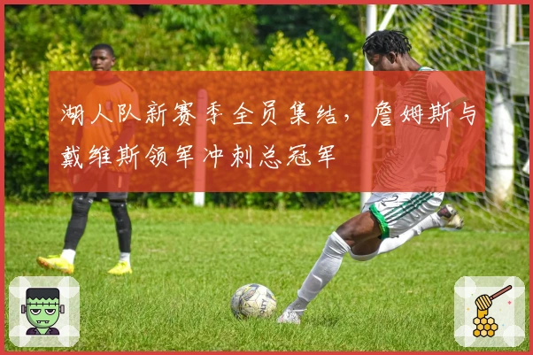 湖人队新赛季全员集结，詹姆斯与戴维斯领军冲刺总冠军