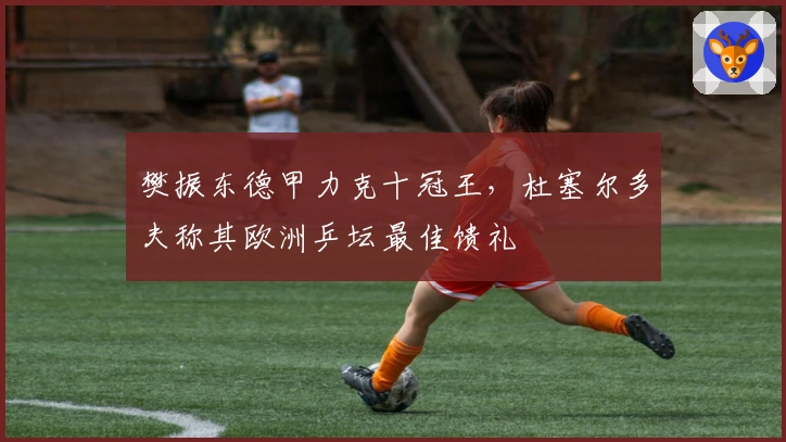 樊振东德甲力克十冠王，杜塞尔多夫称其欧洲乒坛最佳馈礼