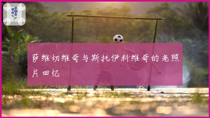 萨维切维奇与斯托伊科维奇的老照片回忆