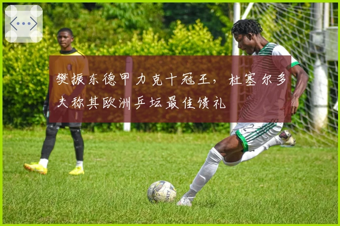 樊振东德甲力克十冠王，杜塞尔多夫称其欧洲乒坛最佳馈礼